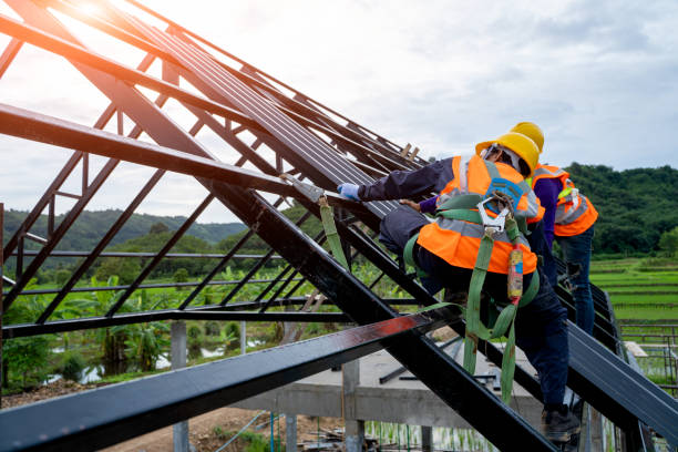 Best Sealant for Roof  in Steele Creek, AK