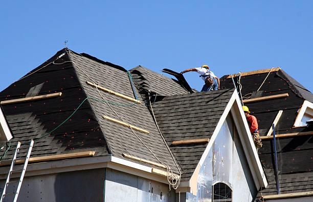 Best Storm Damage Roof Repair  in Steele Creek, AK