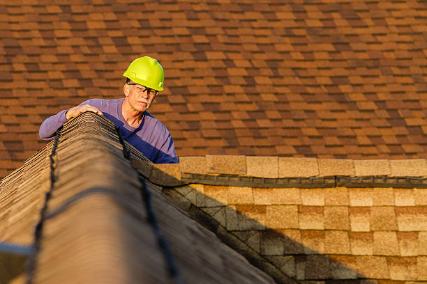 Roof Waterproofing Services in Steele Creek, AK