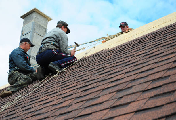 Best Flat Roof Repair Services  in Steele Creek, AK