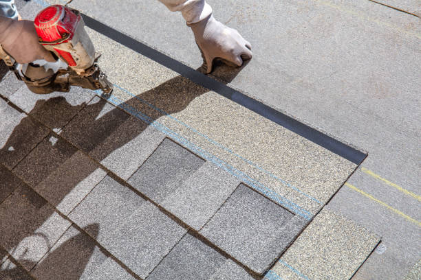 Best Residential Roofing Contractor  in Steele Creek, AK