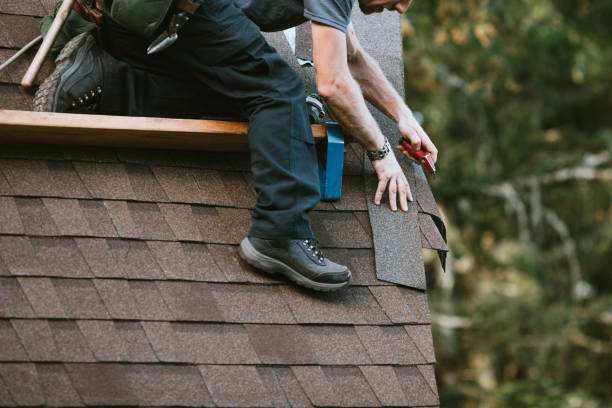 Best Roof Leak Repair  in Steele Creek, AK