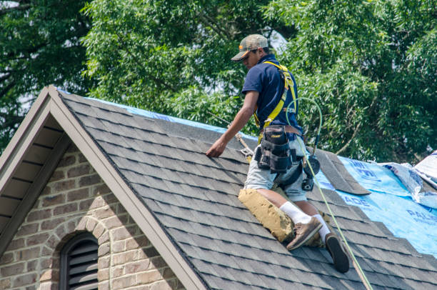 Best Best Roofing Contractors  in Steele Creek, AK